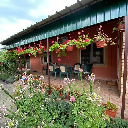 Sud ,,Antal I Olga,, Bed and Breakfast Skorenovac Esterno foto