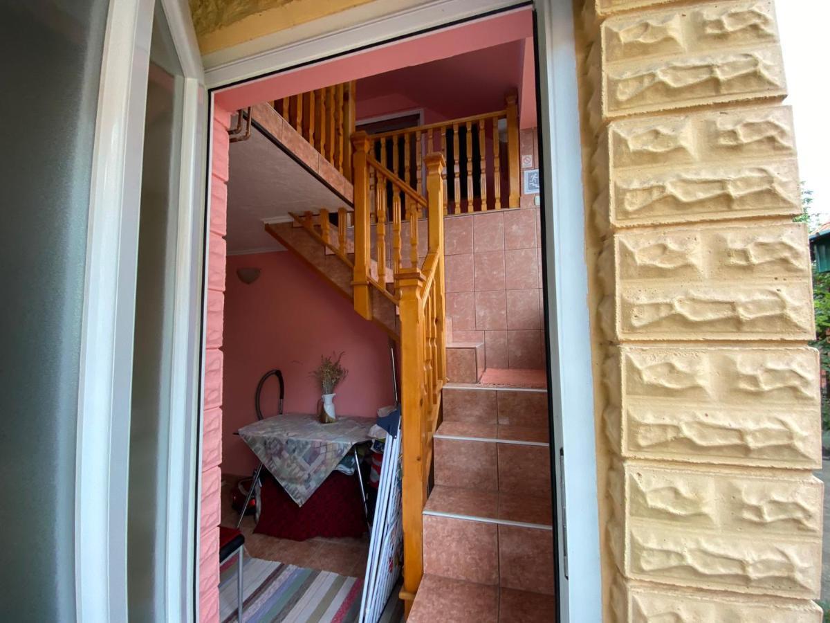 Sud ,,Antal I Olga,, Bed and Breakfast Skorenovac Esterno foto