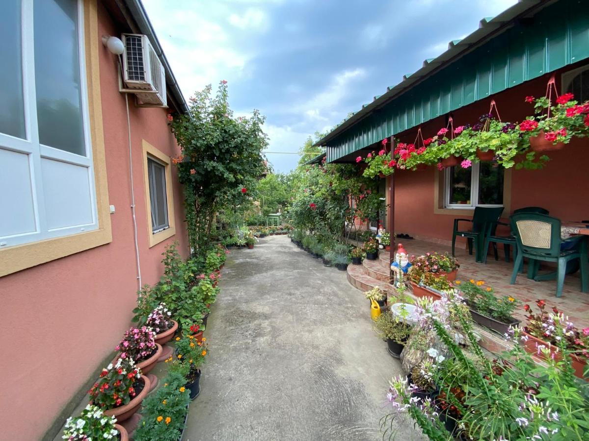 Sud ,,Antal I Olga,, Bed and Breakfast Skorenovac Esterno foto