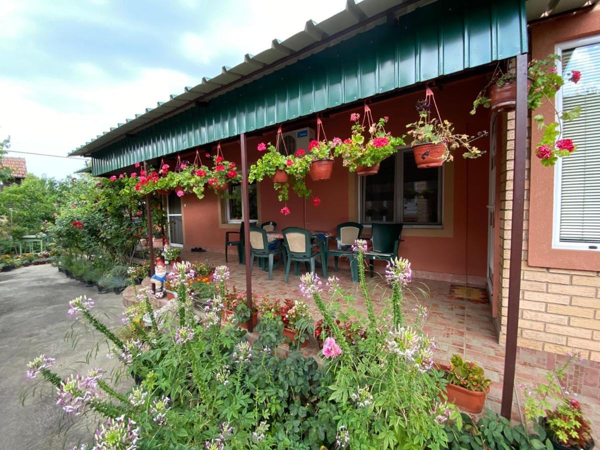 Sud ,,Antal I Olga,, Bed and Breakfast Skorenovac Esterno foto