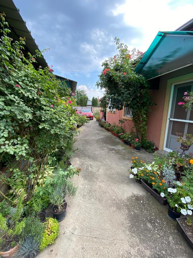 Sud ,,Antal I Olga,, Bed and Breakfast Skorenovac Esterno foto